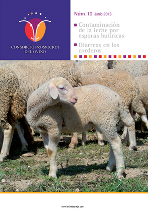 Revista del Consorcio N.10