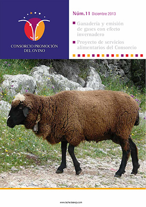 Revista del Consorcio N.11
