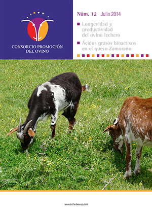 Revista del Consorcio N.12