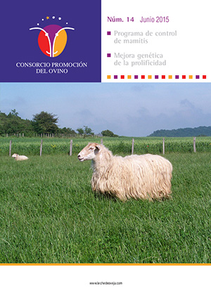 Revista del Consorcio N.14