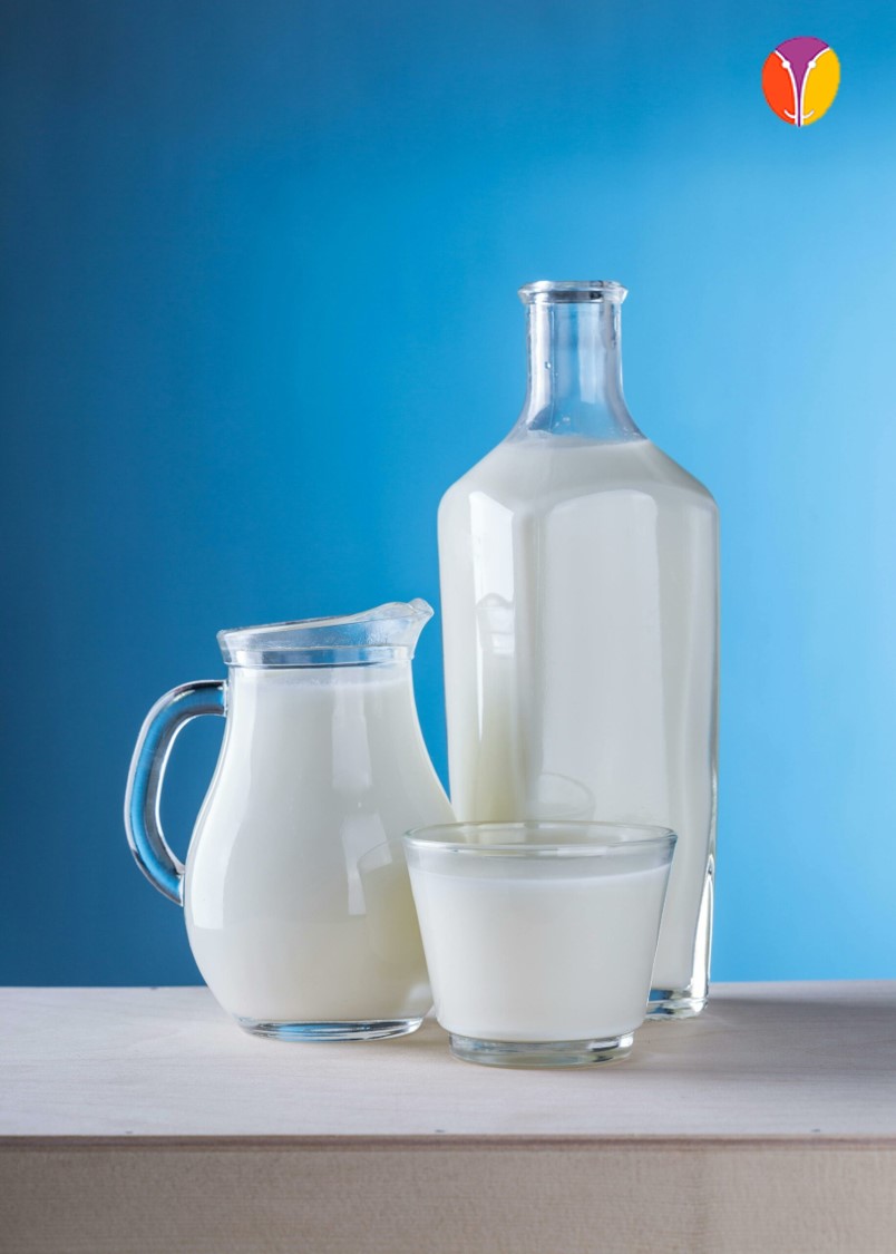 leche de oveja consorcio