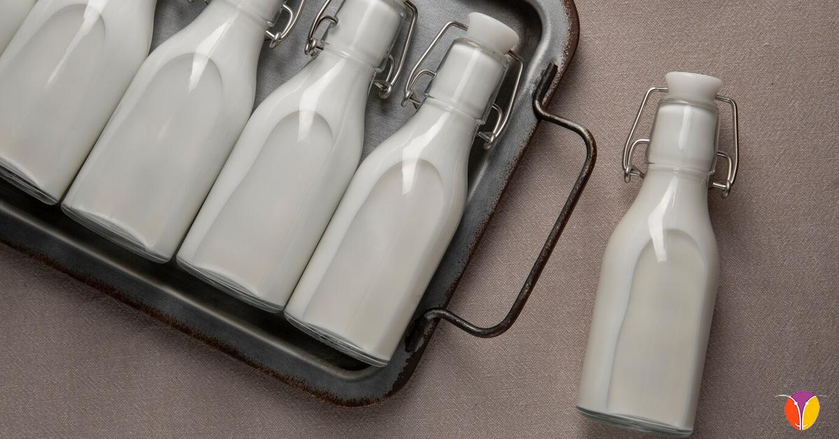 Beneficios nutricionales de la leche de oveja