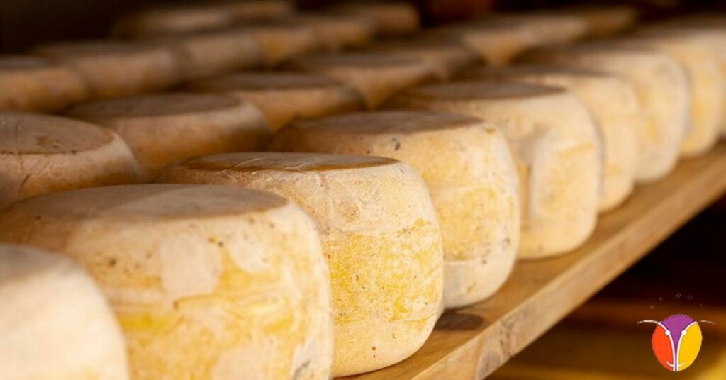 Envejecimiento del queso