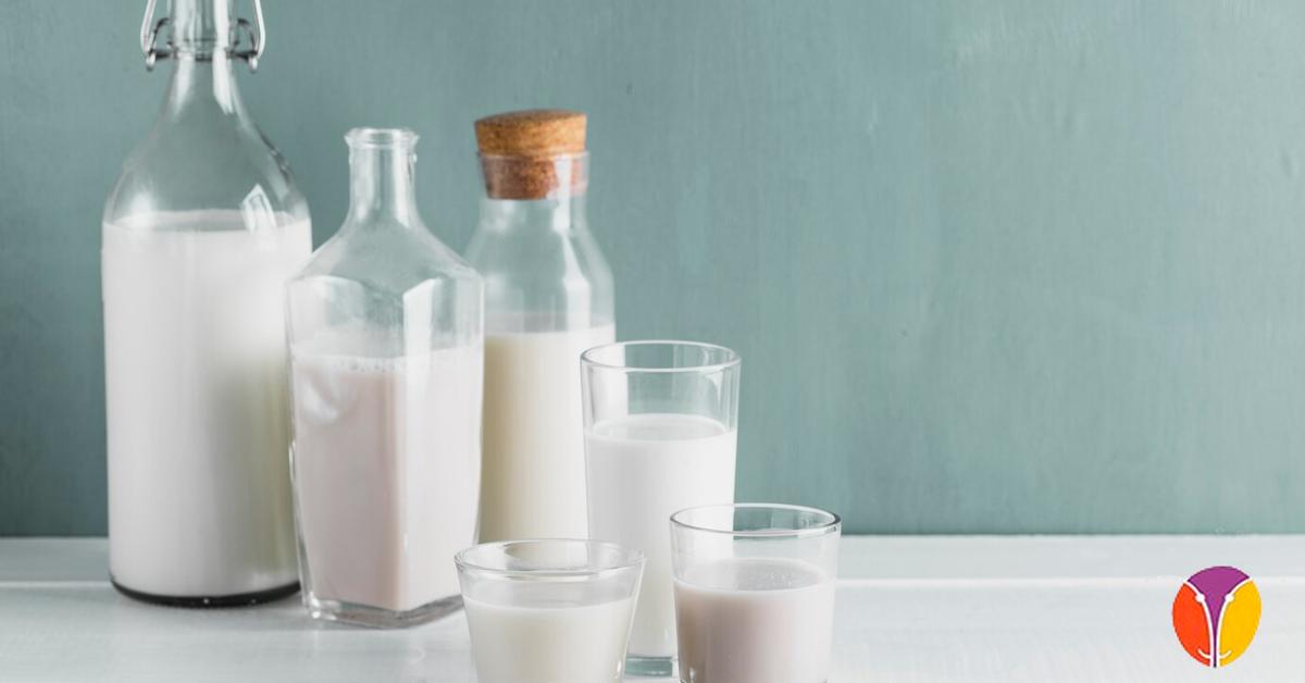 Leche de oveja vs leche de vaca diferencias clave
