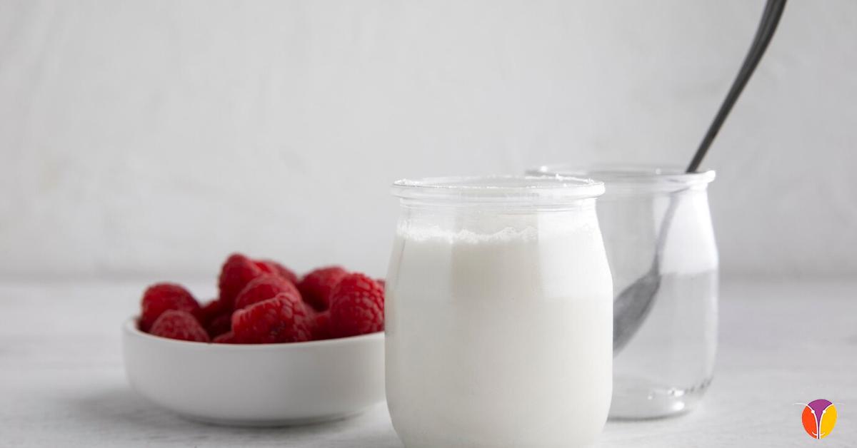 Yogur de leche de oveja